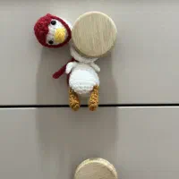 غازگردن دراز