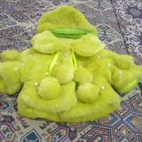 پالتو بچگانه