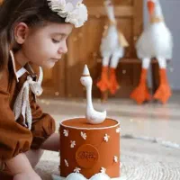 عکاسی کودک (ورودی باغ کودک رایگان)