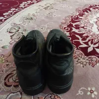 پوتین چرب