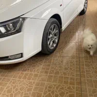 دنا اتومات مدل ۱۴۰۲ بدون رنگ