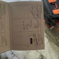 سگ پا کوتاه|سگ|قزوین, |دیوار