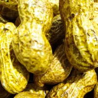 بادام زمینی لیمویی|خوردنی و آشامیدنی|اشنویه, |دیوار