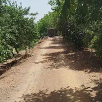 فروش زمین ۱۰۰۰ متری محدود پل زمانخان|فروش زمین و ملک کلنگی|شاهین‌شهر, طالقانی|دیوار