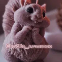 فروش با کمترین قیمت (شمع فانتزی معطر و سبد)|صنایع دستی و سایر لوازم تزئینی|تهران, سازمان آب|دیوار