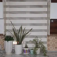 پرده زبرا سالم