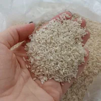 ۱۵کیلو برنج نیم دانه هاشمی گیلان