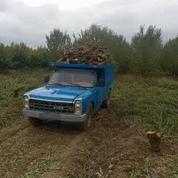 خرید چوب به صورت نقد