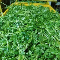 سبزی پاک شده وشسته شده|خوردنی و آشامیدنی|کرج, آق تپه|دیوار