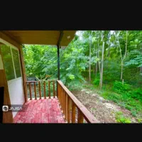 ویلا دوبلکس جنگلی|اجارهٔ کوتاه‌مدت ویلا و باغ|ماسال, |دیوار