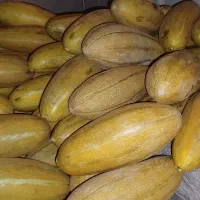 خربزه شیرین