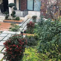 خدمات و اجرای فضاسازی باغ ویلا روفگاردن|گل و گیاه طبیعی|مشهد, هنرستان|دیوار