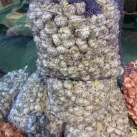 سیر خشک درجه یک و دانه درشت دشت مغان.