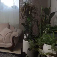 پرده چرم طرح لیزری قد ۲/۴۰|پرده، رانر، رومیزی|شیراز, ارم|دیوار