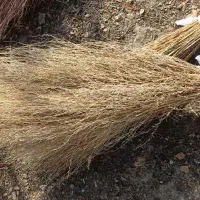 جارو دستی ارزان و با کیفیت|لوازم نظافت|ارومیه, |دیوار