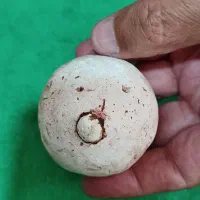 سنگ توپی قدیمی به وزن۱۰۰گرم۵۰۰سوت