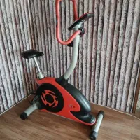 دوچرخه ثابت راین