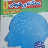 سه گانه هوش تصویری