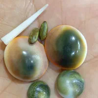 هبهاب و مهره اصلی