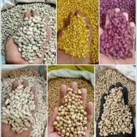 توزیع مرحله چهارم *کالابرگ* عرضه تخصصی*حبوبات*
