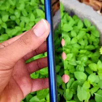 a03s|موبایل|بجنورد, |دیوار