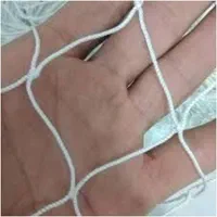 انواع، تور|تور و چارتر|مشهد, توس (بلوار توس)|دیوار