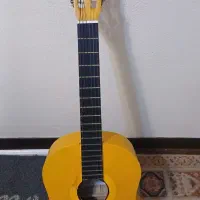 گیتار golden cup|گیتار، بیس، امپلیفایر|شاهین‌شهر, فردوسی|دیوار