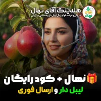 نهال گلابی مقاوم و پرمحصول، سرمایه‌گذاری مطمئن