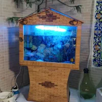آکواریوم کلبه ای|ماهی|شیراز, آزادگان|دیوار