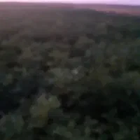 فروش یا اجاره زمین کشاورزی با سهمیه اب|فروش دفتر صنعتی، کشاورزی، تجاری|سراب, |دیوار