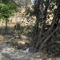 کمپ ترک اعتیاد نمونه شرق تهران