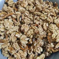 مغز گردوی تازه
