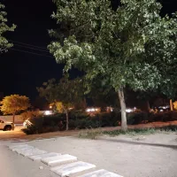 نیازمند نیرو برای نگهداری سالمند