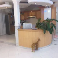 اپارتمان ۳خوابه|فروش آپارتمان|نیشابور, دارایی|دیوار