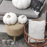 کوسن و دکوری کدو|صنایع دستی و سایر لوازم تزئینی|رشت, سعدی (تختی)|دیوار