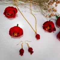 اکسسوری یلدایی|زیورآلات و اکسسوری|جهرم, |دیوار