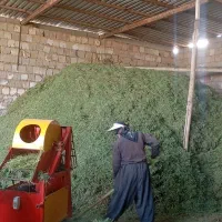 کاه و یونجه|عمده‌فروشی|رباط‌کریم, شهرک صنعتی زواره‌ای|دیوار