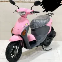 پاکشتی