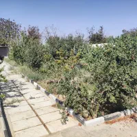 فروش باغچه 850 متری|فروش زمین و ملک کلنگی|رباط‌کریم, انجم آباد|دیوار