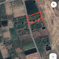 باغ-مناسب-سرمایه-گذاری