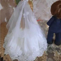 عروس و داماد طرح عروسک