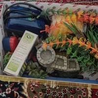 فروش آکواریوم با کلیه وسایل|ماهی|شهرکرد, |دیوار