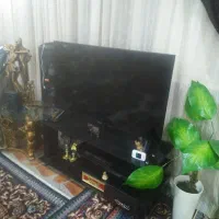 تلفزیون49اینچ