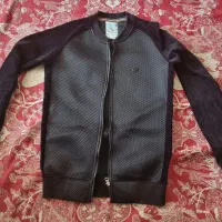 سیوشرت پاییزه