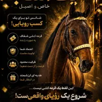 قرعه‌کشی اسب