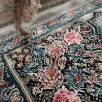 بچه گربه