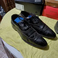 نیم بوت وکفش|کیف، کفش، کمربند|لشت نشا, |دیوار