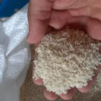 برنج قائم اطمینان درهردانه|عمده‌فروشی|بابلسر, |دیوار