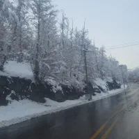 آشپز، کارگر ساده، گارسون، تاسیسات، صندوق دار