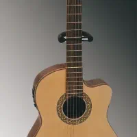 فروش انواع گیتار از مبتدی تا حرفه ای